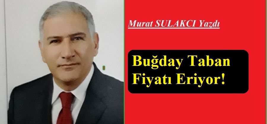 BUĞDAY TABAN FİYATI ERİYOR!