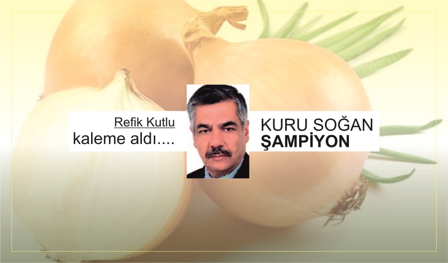 KURU SOĞAN ŞAMPİYON