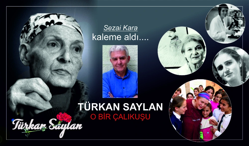 TÜRKAN SAYLAN- O BİR ÇALIKUŞU 