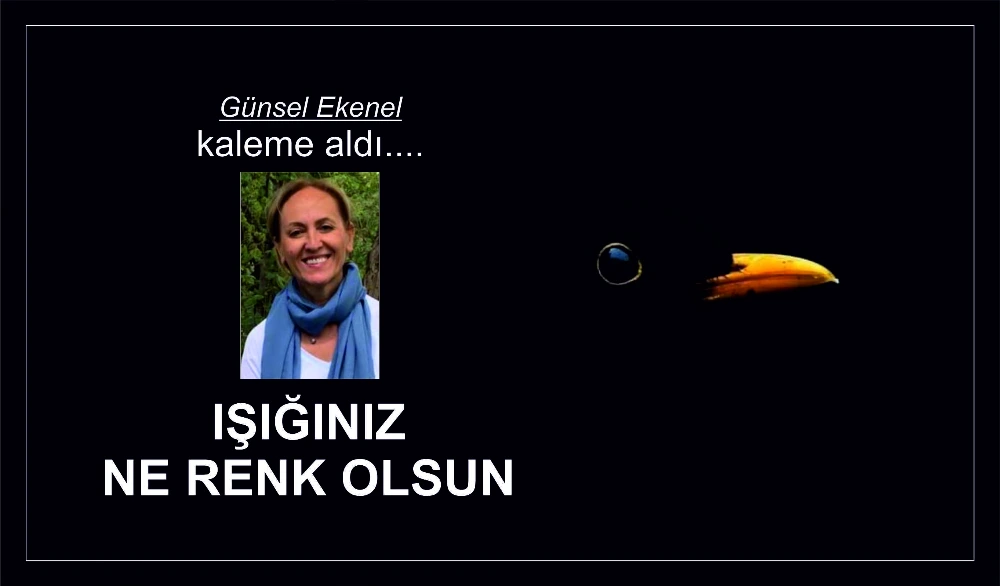 IŞIĞINIZ NE RENK OLSUN