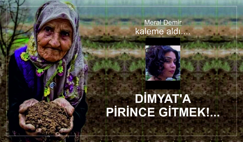 DİMYAT