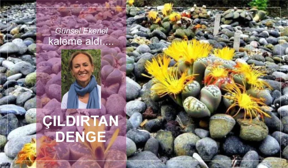ÇILDIRTAN DENGE